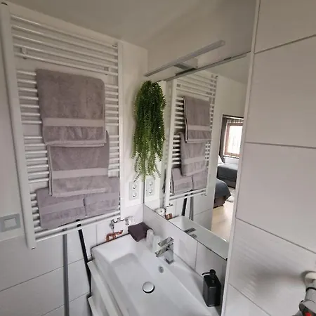 Unique Messe - Airport Apartment Steinenbronn